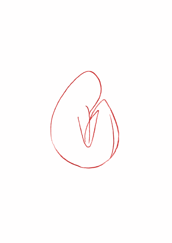 Ovo